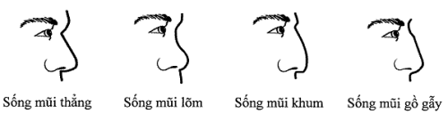 Description: image001